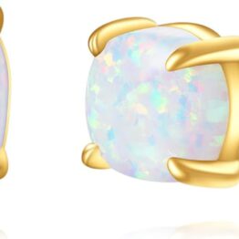 Colored shells and golden earrings CH0059