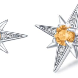Orange brickstone earrings MU10024
