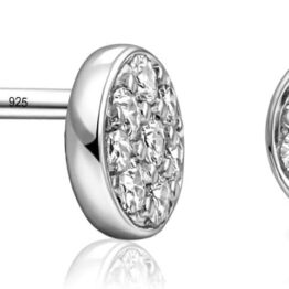 Crushed Brick High-End Earrings CH0062
