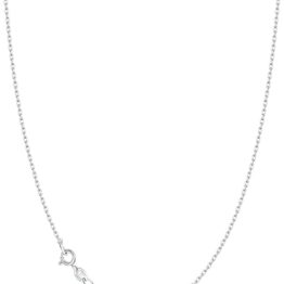 Pure silver necklace - exudes a sense of sophistication Sw10007