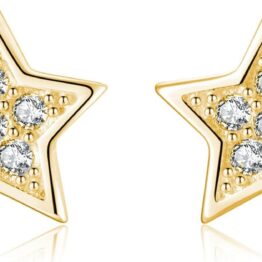 Gold Star Earrings CH0076