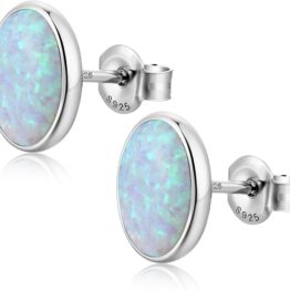 Shimmering Shell High-End Earrings T10016