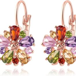 Colorful Candy Dragonfly Earrings   Sw10001